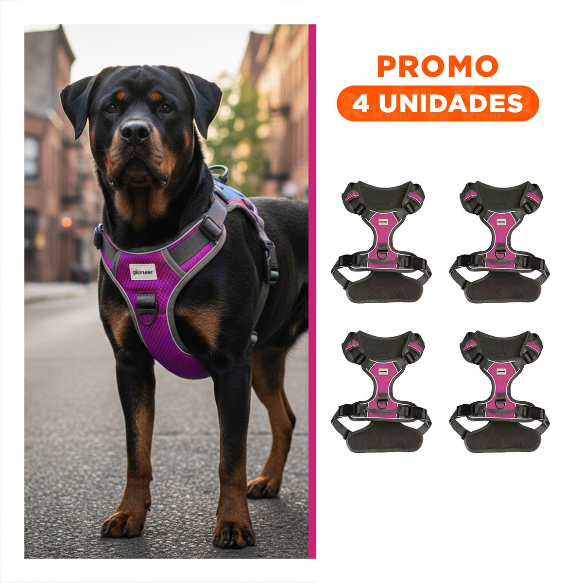 PACK4 FAJA PARA MASCOTA AJUSTABLE FUCSIA CON CIERRE FACIL Y SEGURO Y+REGALO STICKER - 1