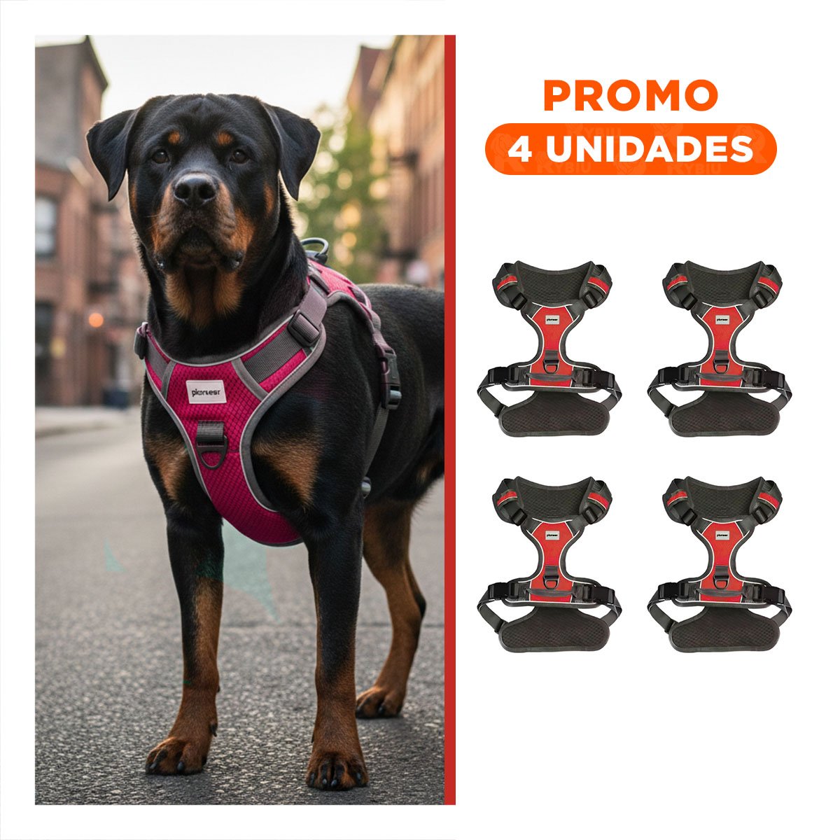 PACK4 ARNES LIGERO PARA PERRO CON AJUSTE FACIL Y COMODO PARA SALIDAS DIARIAS Y+REGALO STICKER - 1