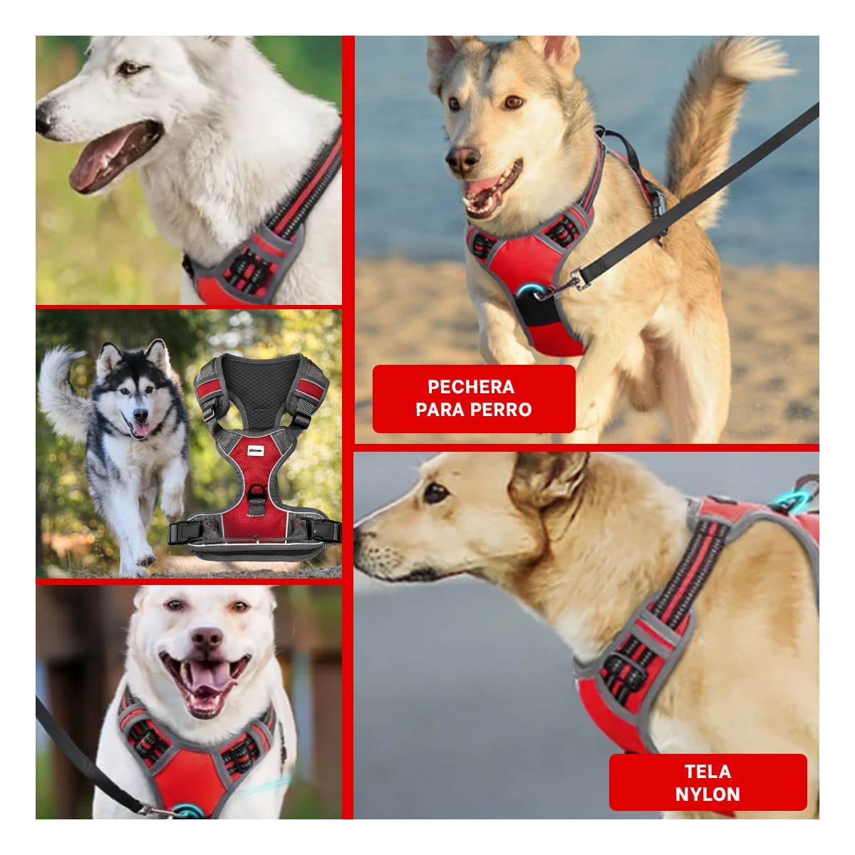 PACK4 ARNES LIGERO PARA PERRO CON AJUSTE FACIL Y COMODO PARA SALIDAS DIARIAS Y+REGALO STICKER - 2