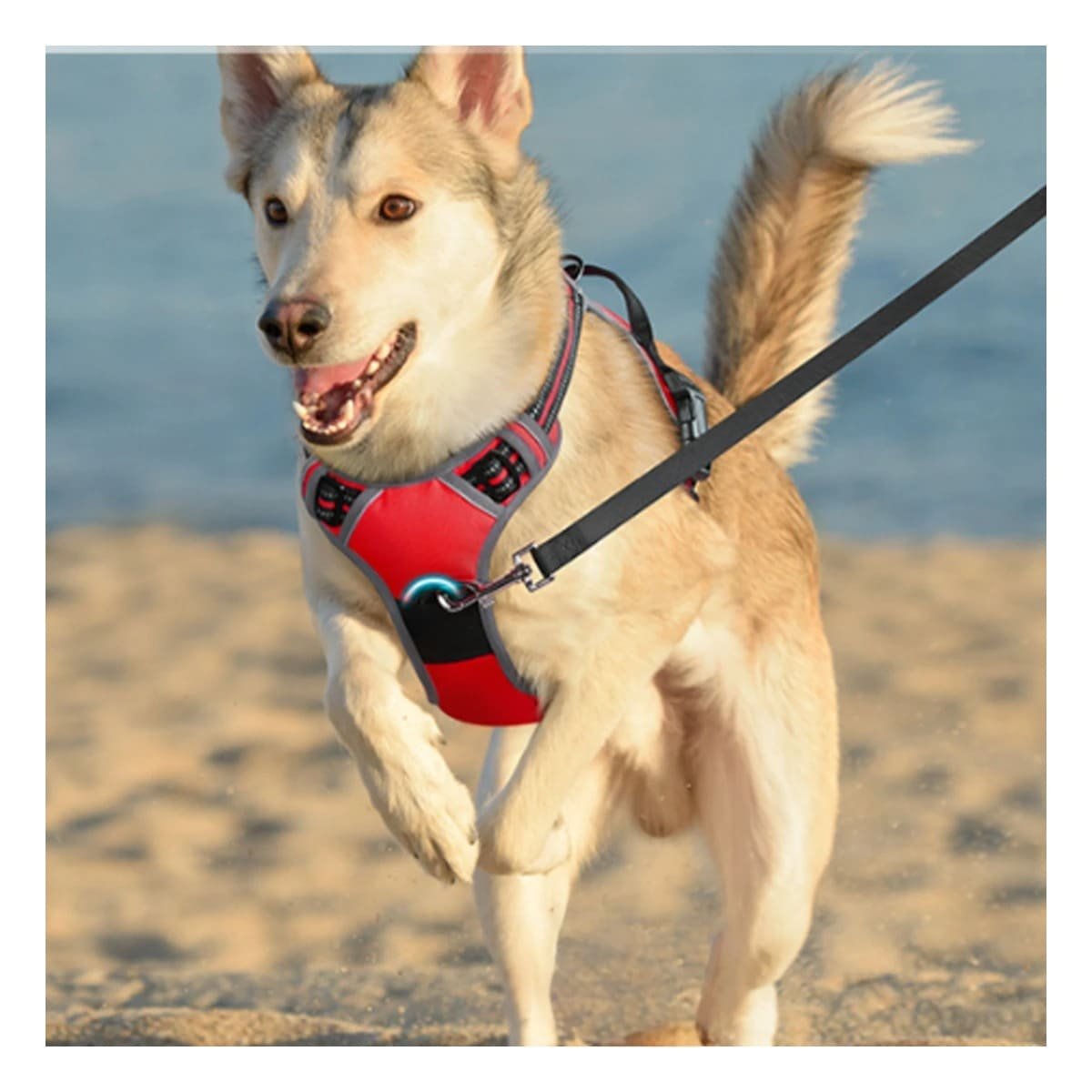 CHALECO REFLECTANTE PARA PERRO CON AJUSTE RAPIDO Y USO SEGURO EN EXTERIORES - 1
