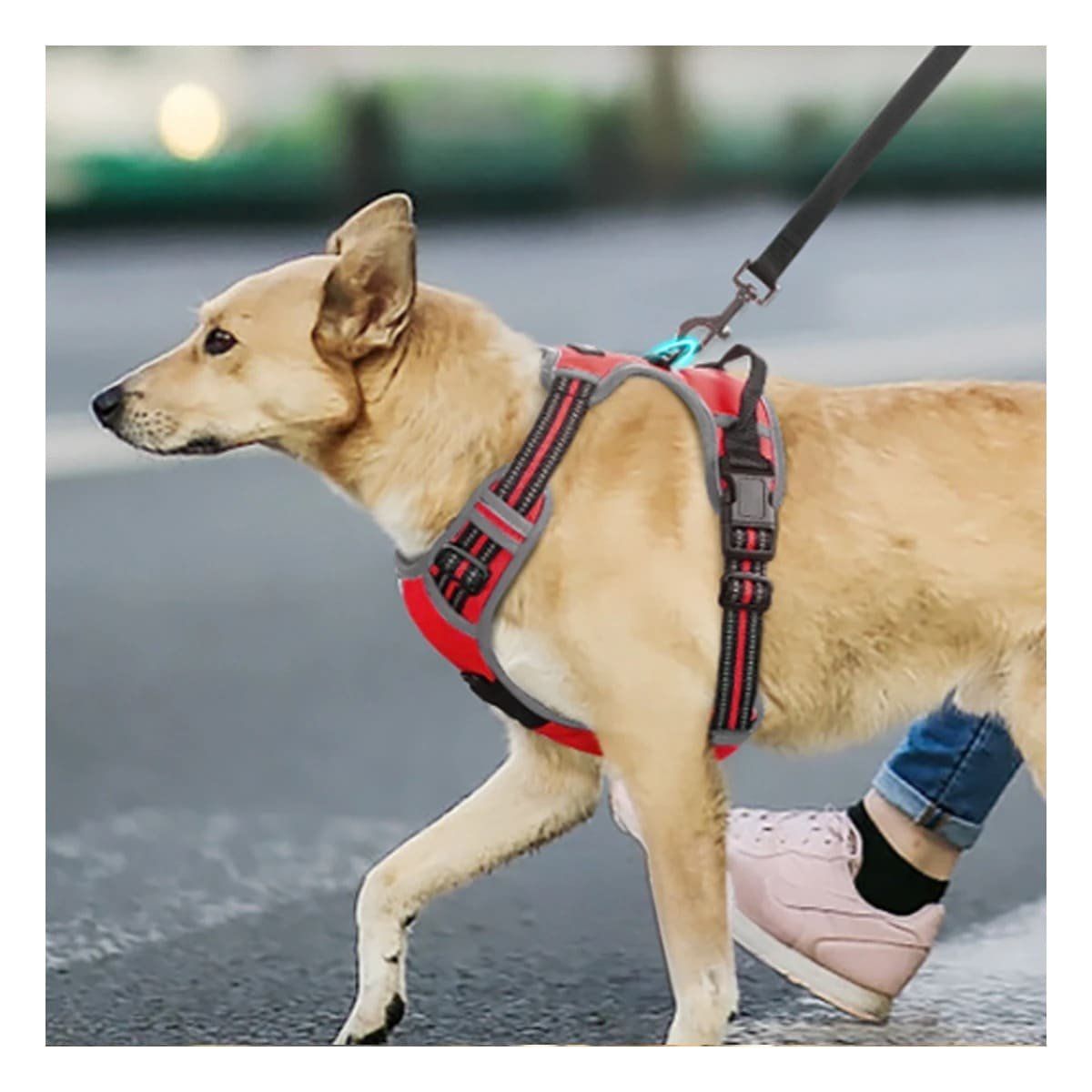 CHALECO REFLECTANTE PARA PERRO CON AJUSTE RAPIDO Y USO SEGURO EN EXTERIORES - 2