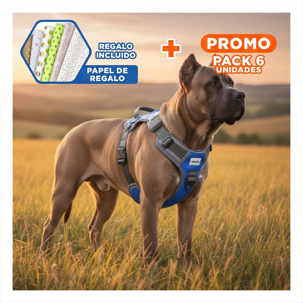 PACK6 CINTURON PARA PERRO AZUL TALLA XL SEGURO Y CONFORTABLE PARA PASEO Y+PAPEL REGALO - 1