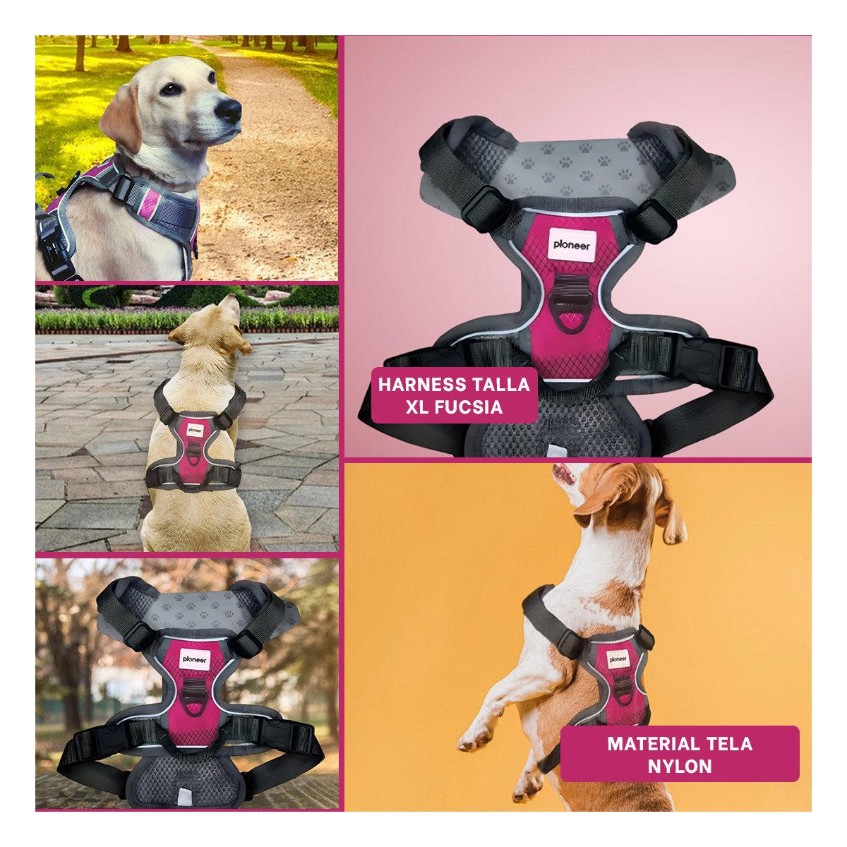 PECHERA PARA PERRO FUCSIA AJUSTABLE CON CIERRE FACIL Y SEGURO Y+LIGAS REGALO - 5