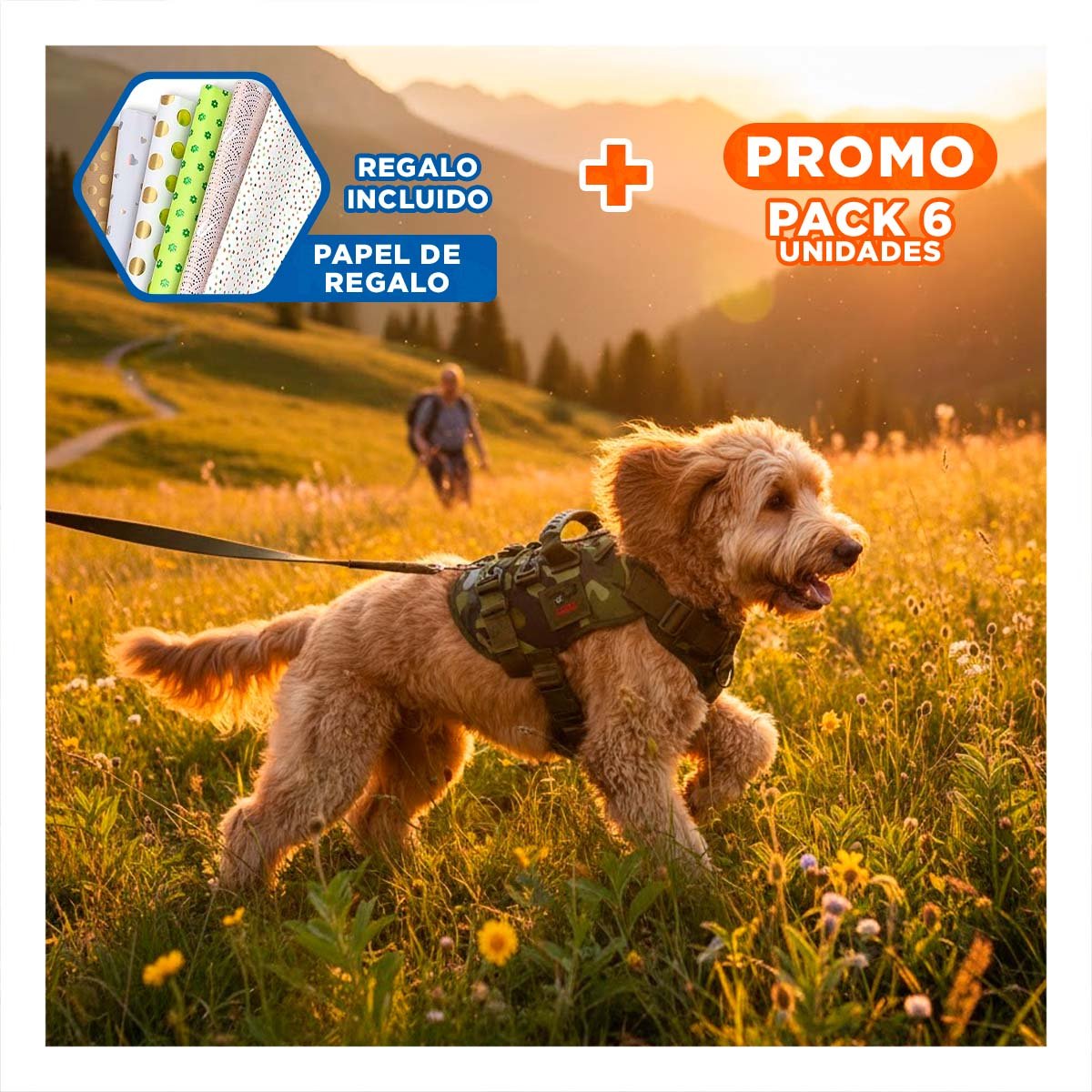 PACK6 CHALECO PARA PERRO ACTIVO VERDE OSCURO TALLA L FACIL DE AJUSTAR Y SEGURO Y+PAPEL REGALO - 1