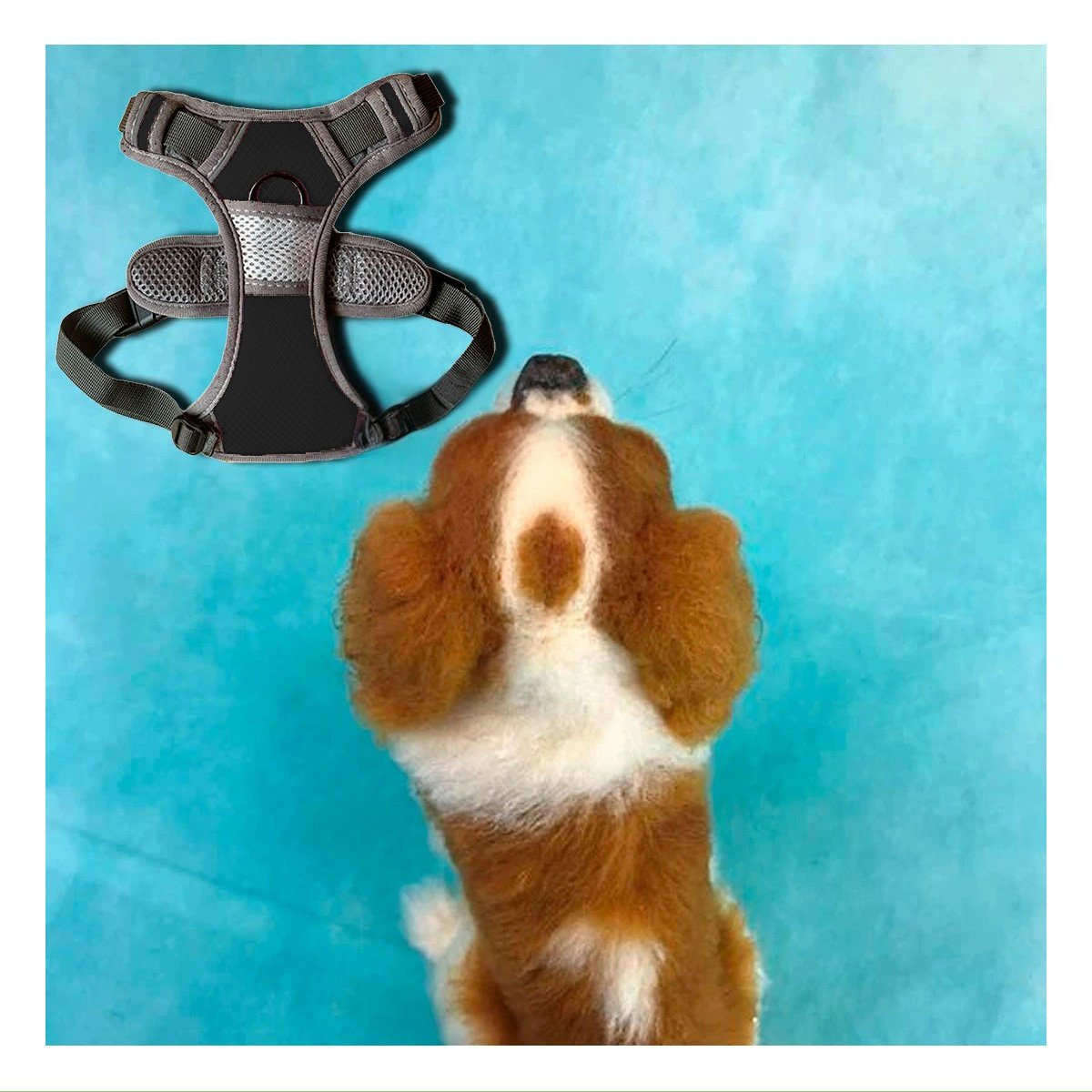 CHALECO PARA PERRO NEGRO TALLA M CON CONFORT Y MATERIAL RESISTENTE Y+LIGAS REGALO - 1