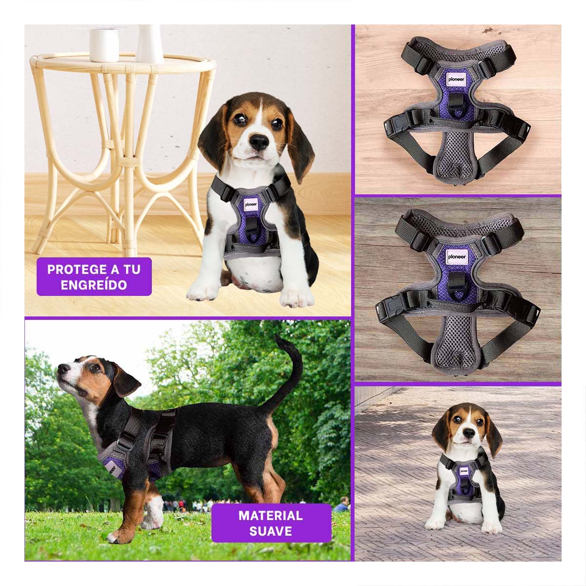 PACK6 SISTEMA RESISTENTE PARA PERRO MORADO TALLA S SEGURO Y+PAPEL REGALO - 3
