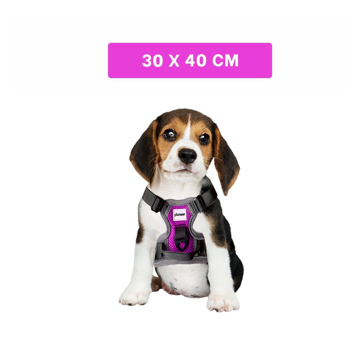 PACK6 COMPLEMENTO AJUSTABLE PARA PERRO FUCSIA TALLA S SEGURO Y COMODO - 4