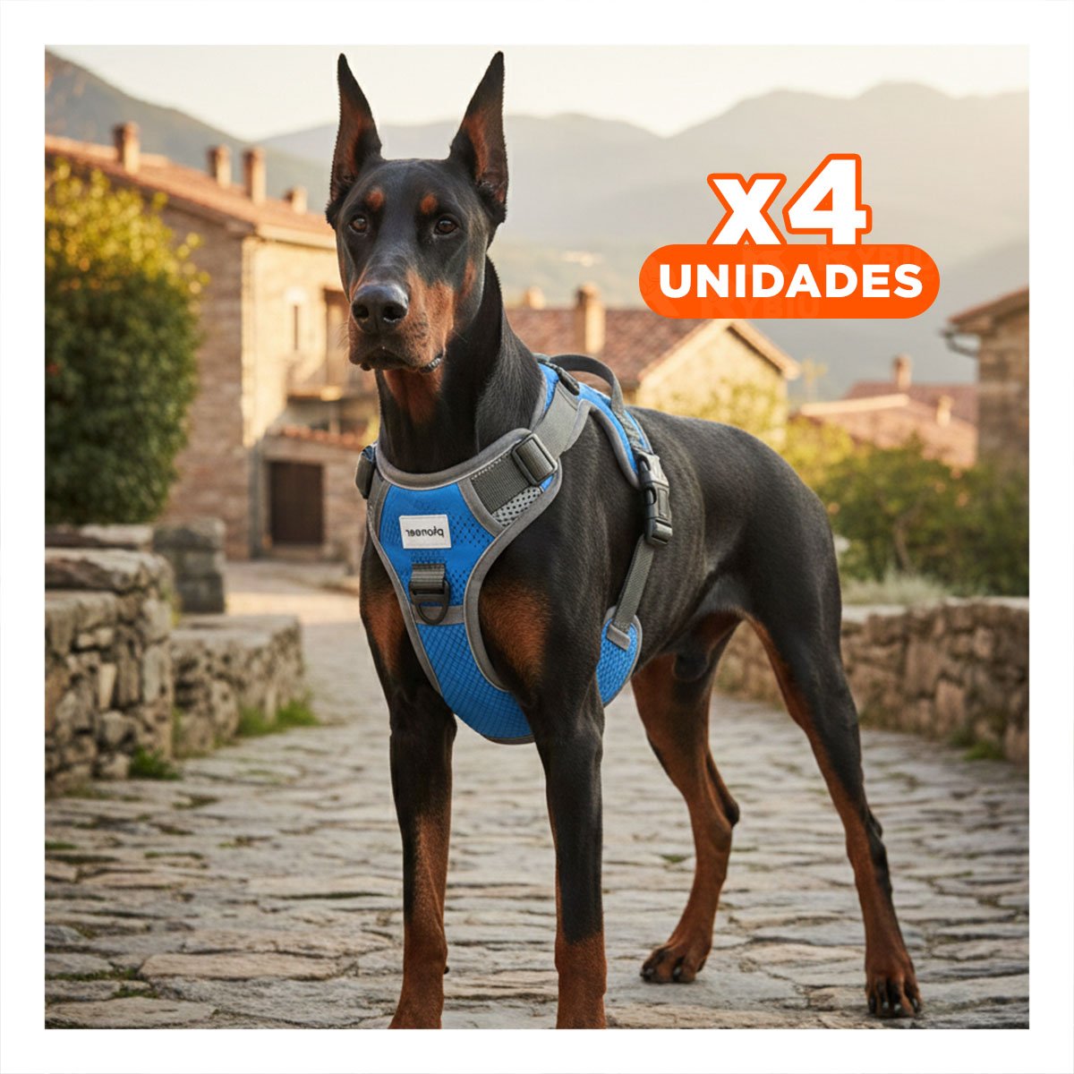 PACK4 EQUIPO PARA PERRO AZUL TALLA XL DURADERO Y LIGERO PARA MASCOTA - 1