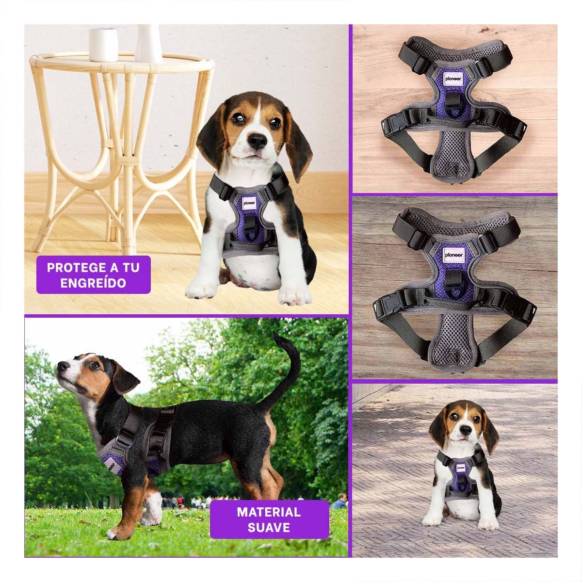 PACK2 CORREA DE CUERPO PARA PERRO MORADO TALLA S COMODA Y+PAPEL REGALO - 3
