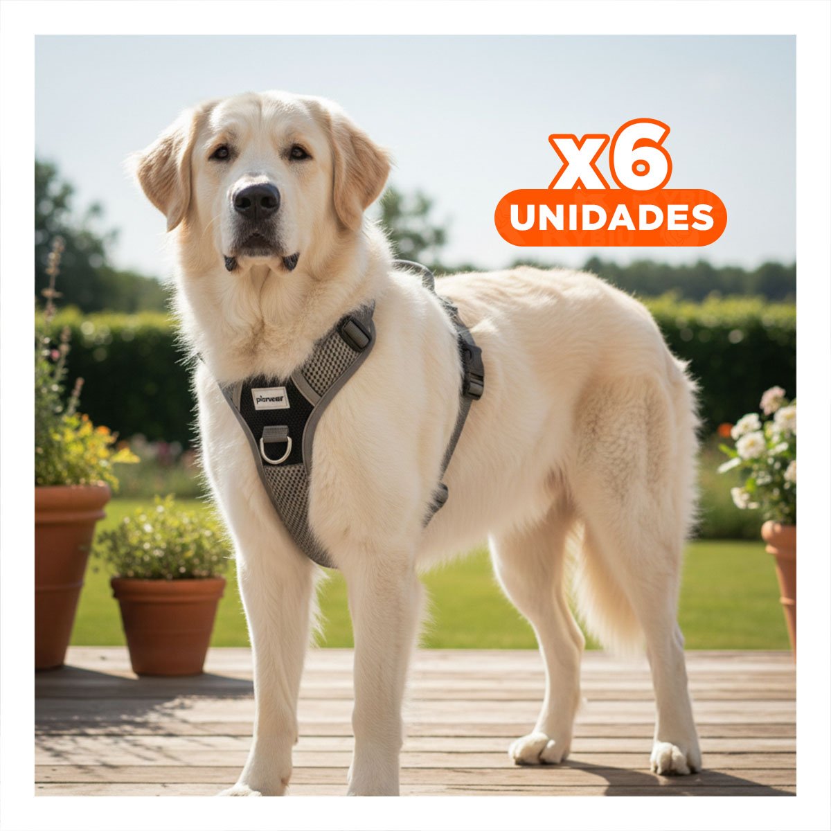 PACK6 SUJECION PARA PERRO NEGRO TALLA L MATERIAL RESISTENTE Y CONFORTABLE Y+REGALO STICKER - 1