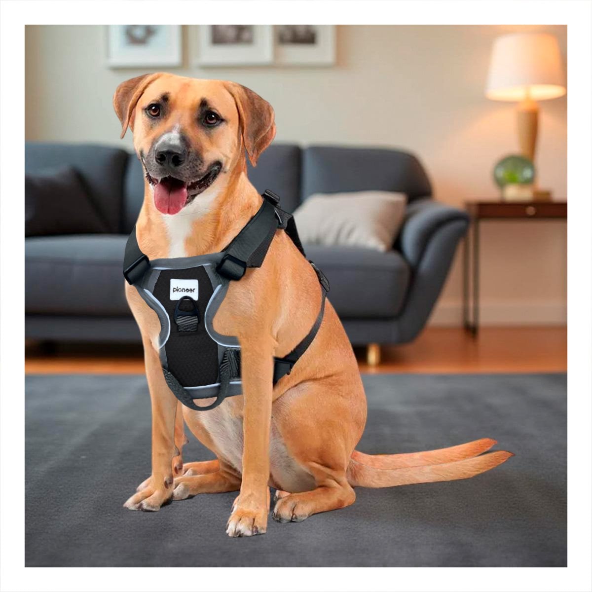 PACK6 SUJECION PARA PERRO NEGRO TALLA L MATERIAL RESISTENTE Y CONFORTABLE Y+REGALO STICKER - 5
