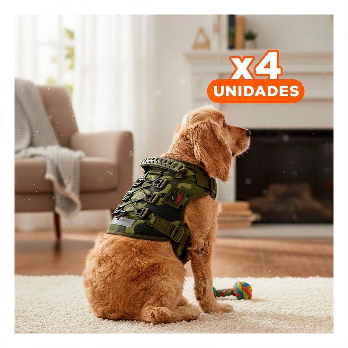 PACK4 ARNES PARA PERRO GRANDE VERDE OSCURO TALLA L DURABLE Y FACIL DE COLOCAR - 1