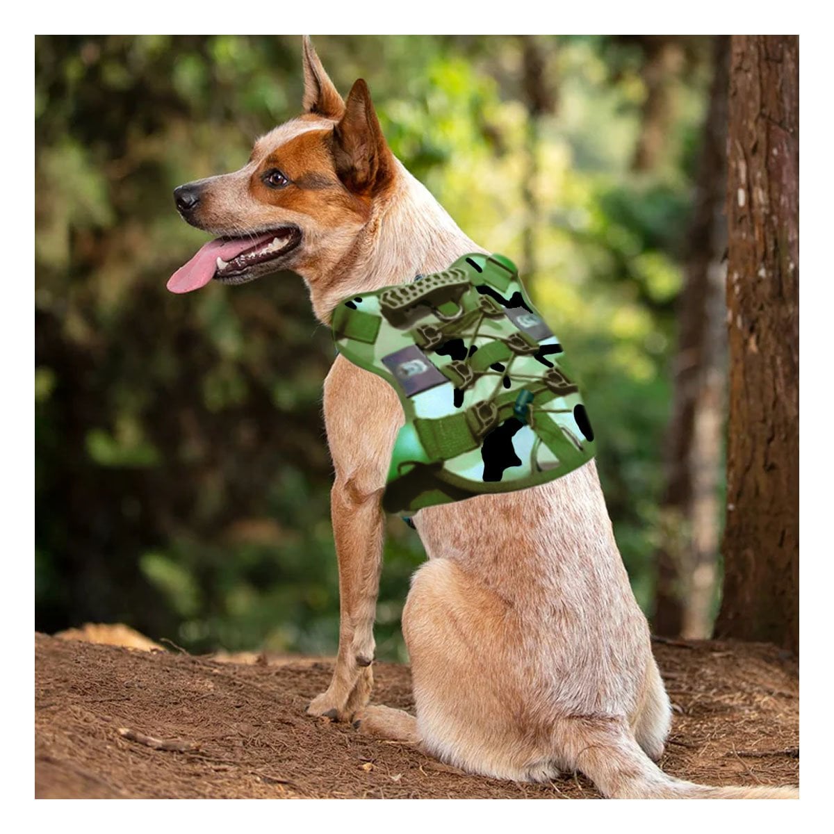 PACK4 ARNES PARA PERRO GRANDE VERDE OSCURO TALLA L DURABLE Y FACIL DE COLOCAR - 3