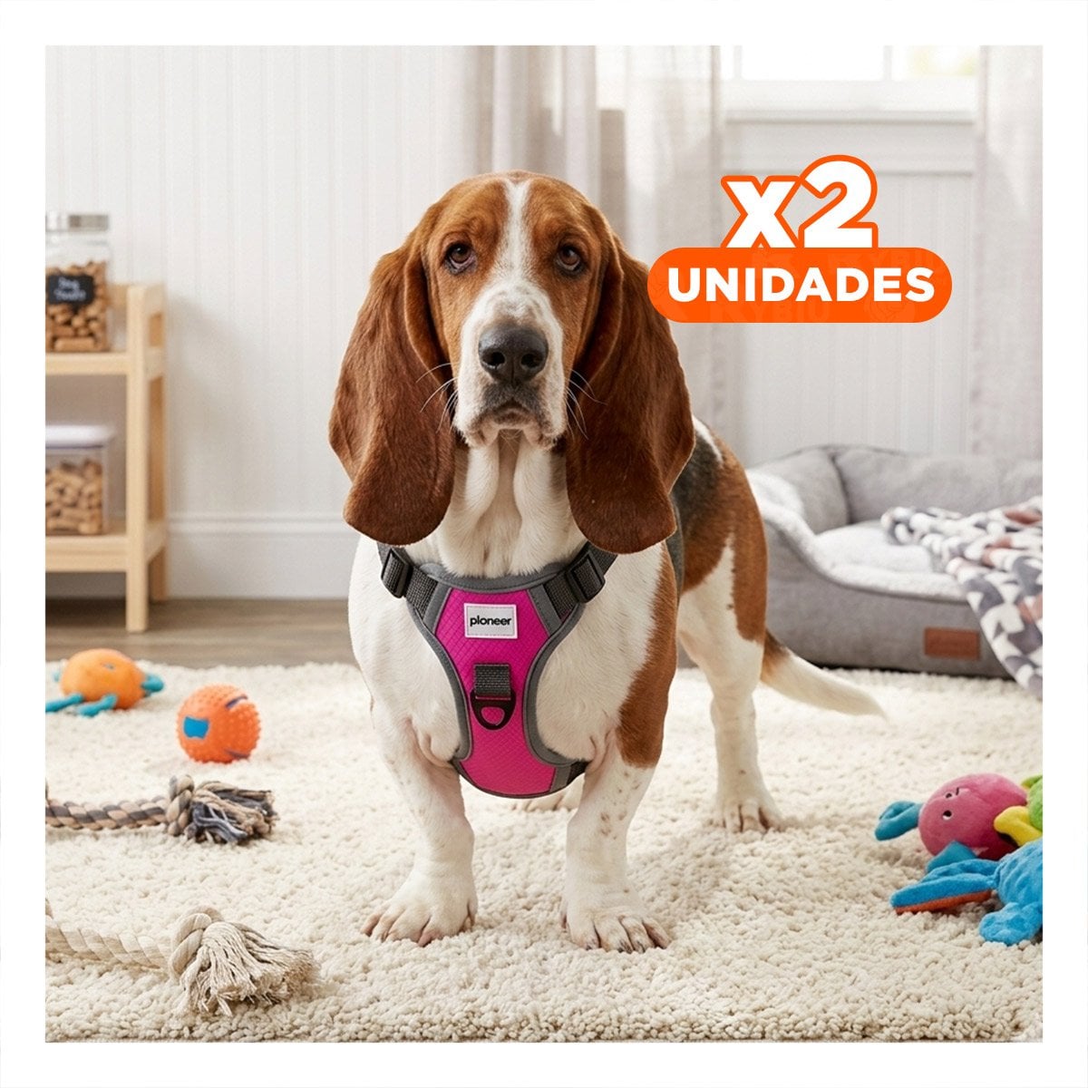 PACK2 PECHERA SEGURA FUCSIA PARA PERRO DE PASEO DIARIO Y ACTIVIDAD Y+REGALO STICKER - 1