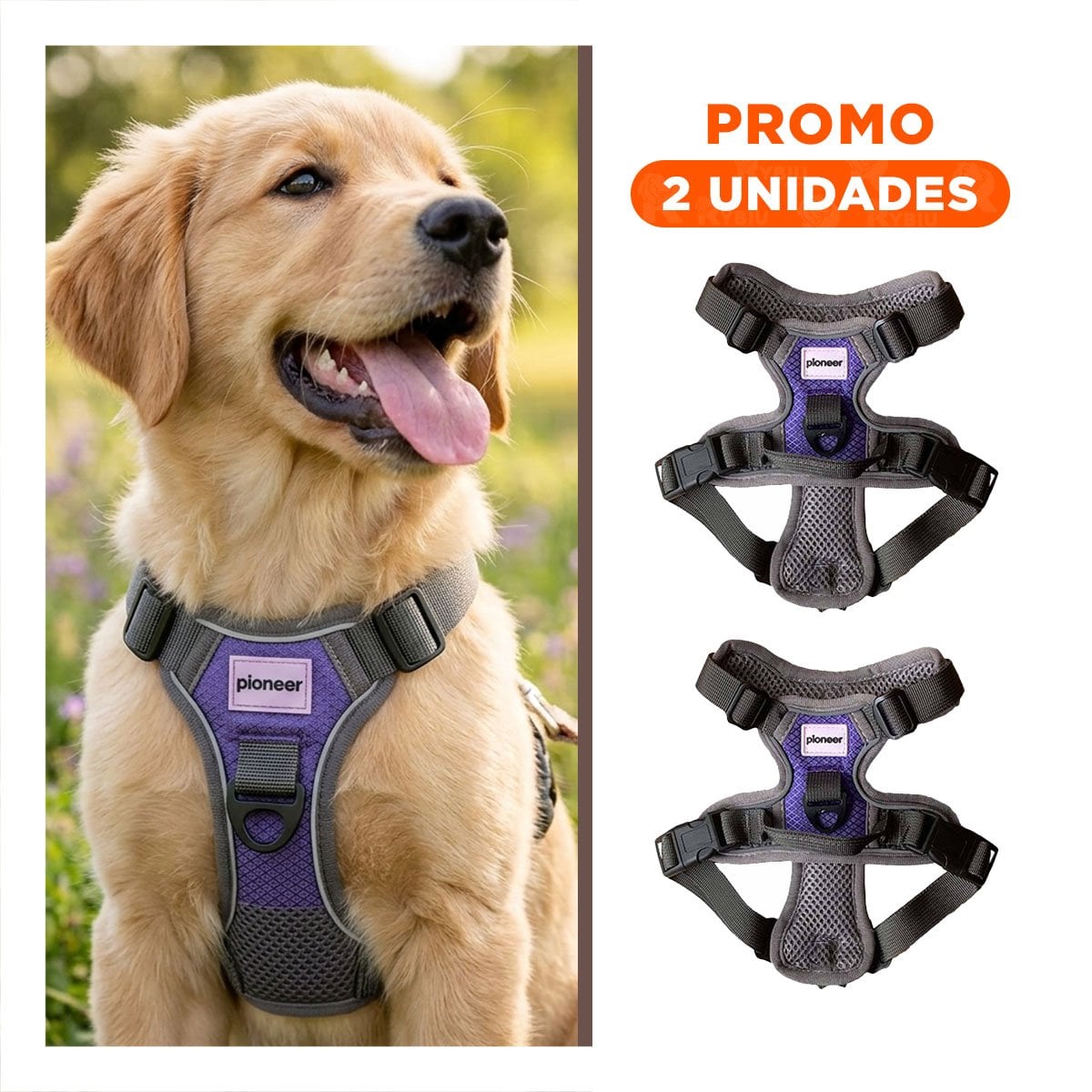 PACK2 CORREA CORPORAL PARA PERRO MORADO TALLA S AJUSTABLE - 1