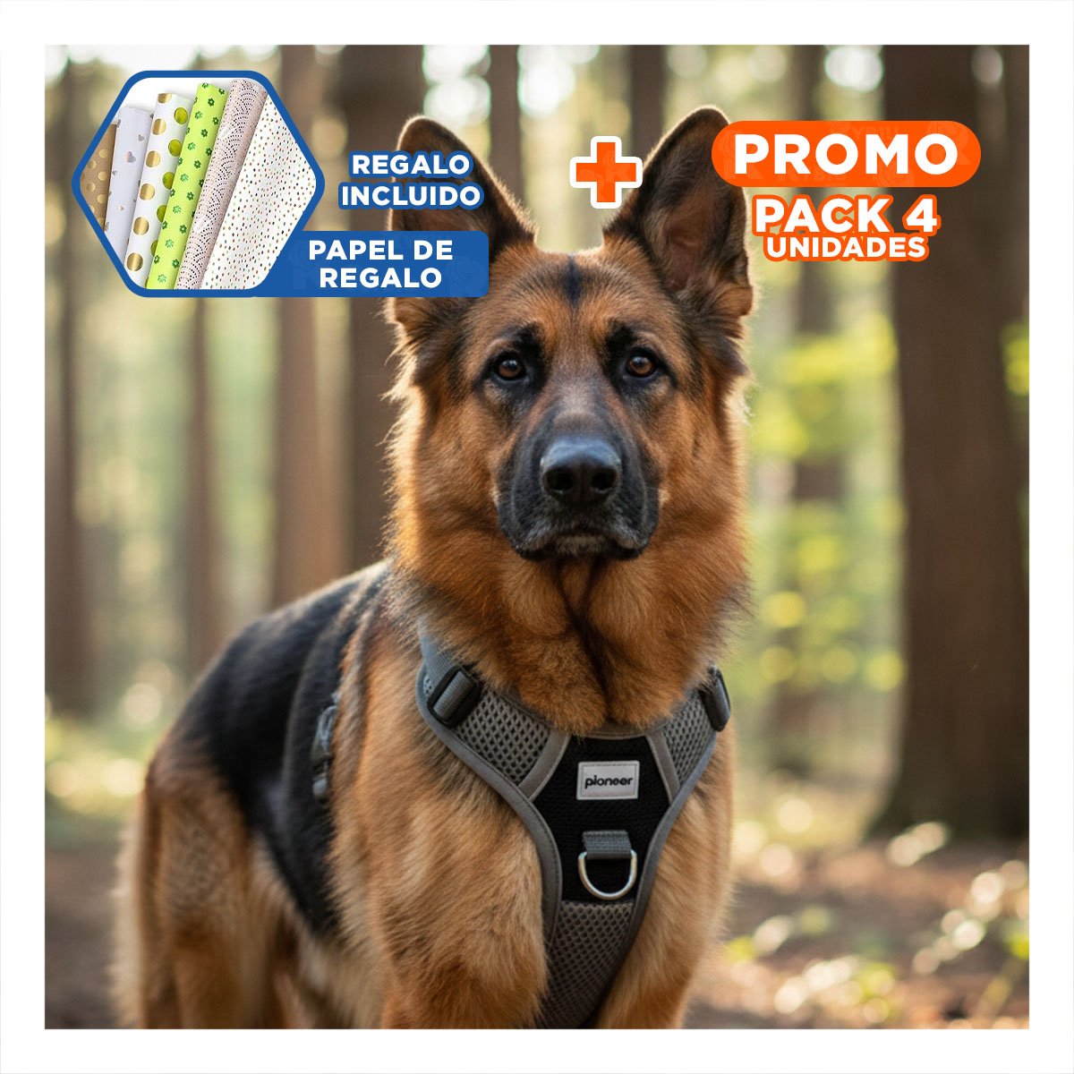 PACK4 EQUIPO PARA PERRO NEGRO TALLA L CON AJUSTE PERFECTO Y MATERIAL SUAVE Y+PAPEL REGALO - 1