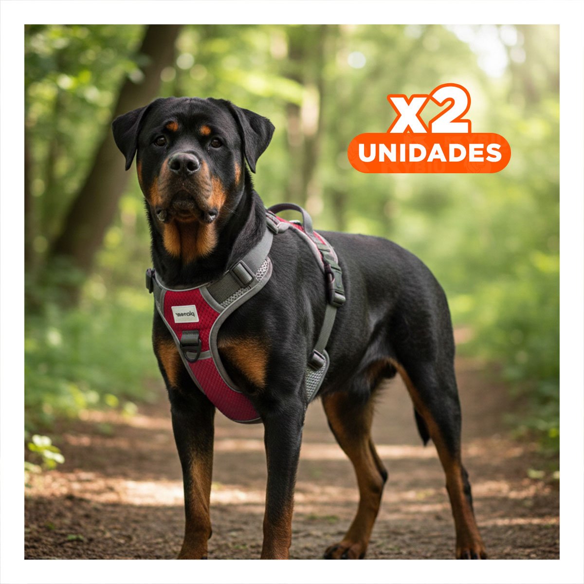 PACK2 CHALECO COMODO PARA PERRO CON HEBILLA RESISTENTE Y SEGURIDAD Y+REGALO STICKER - 1