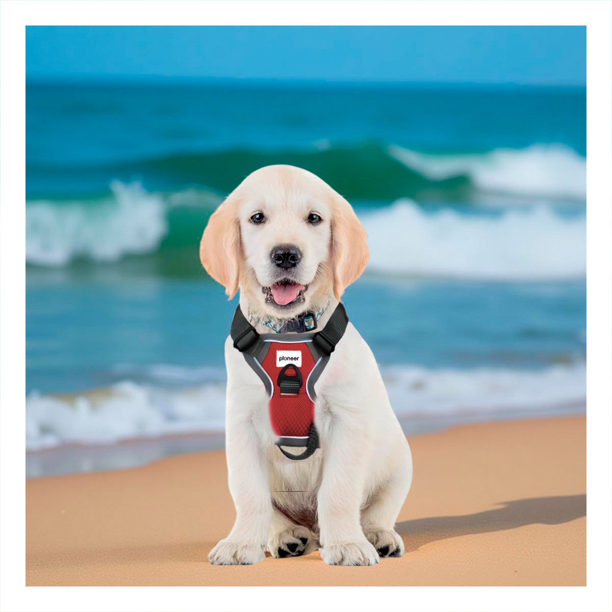 PECHERA REFLECTANTE PARA PERRO ROJO TALLA M MAYOR SEGURIDAD EN CAMINATAS Y+REGALO STICKER - 2