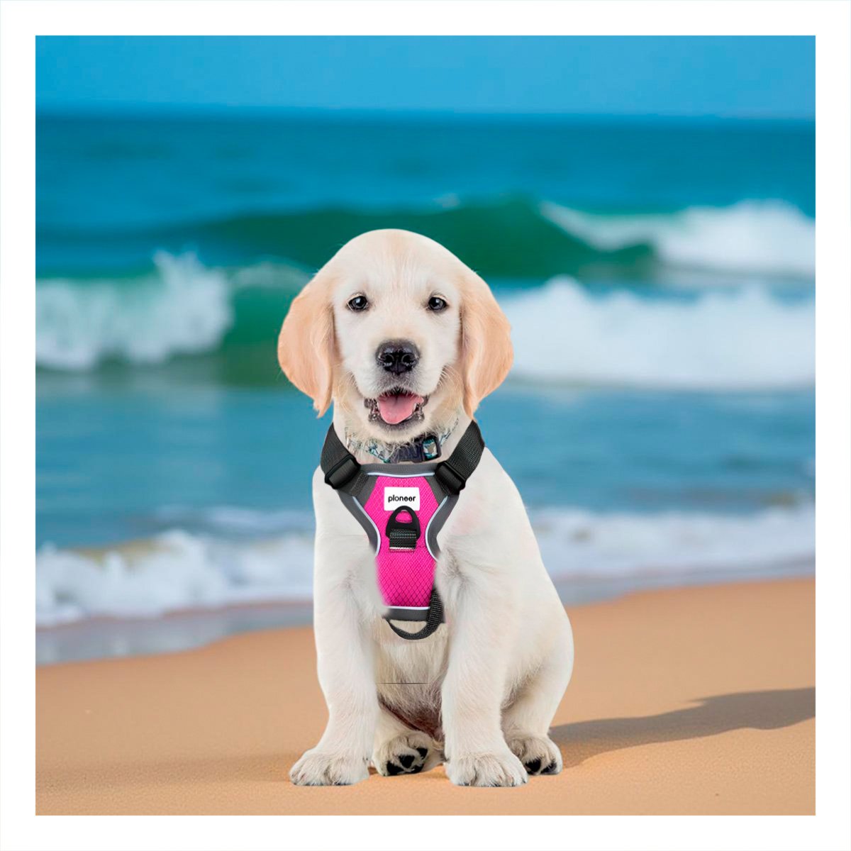 PECHERA MODERNA FUCSIA PARA PERRO CON AJUSTE PERFECTO Y MATERIAL DURADERO Y+PAPEL REGALO - 5