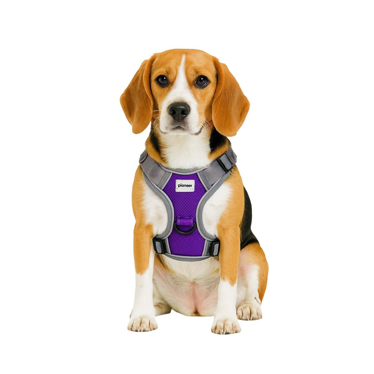 PACK4 SOPORTE REFLEJANTE PARA PERRO MORADO TALLA M CON VISIBILIDAD NOCTURNA Y+PAPEL REGALO - 3