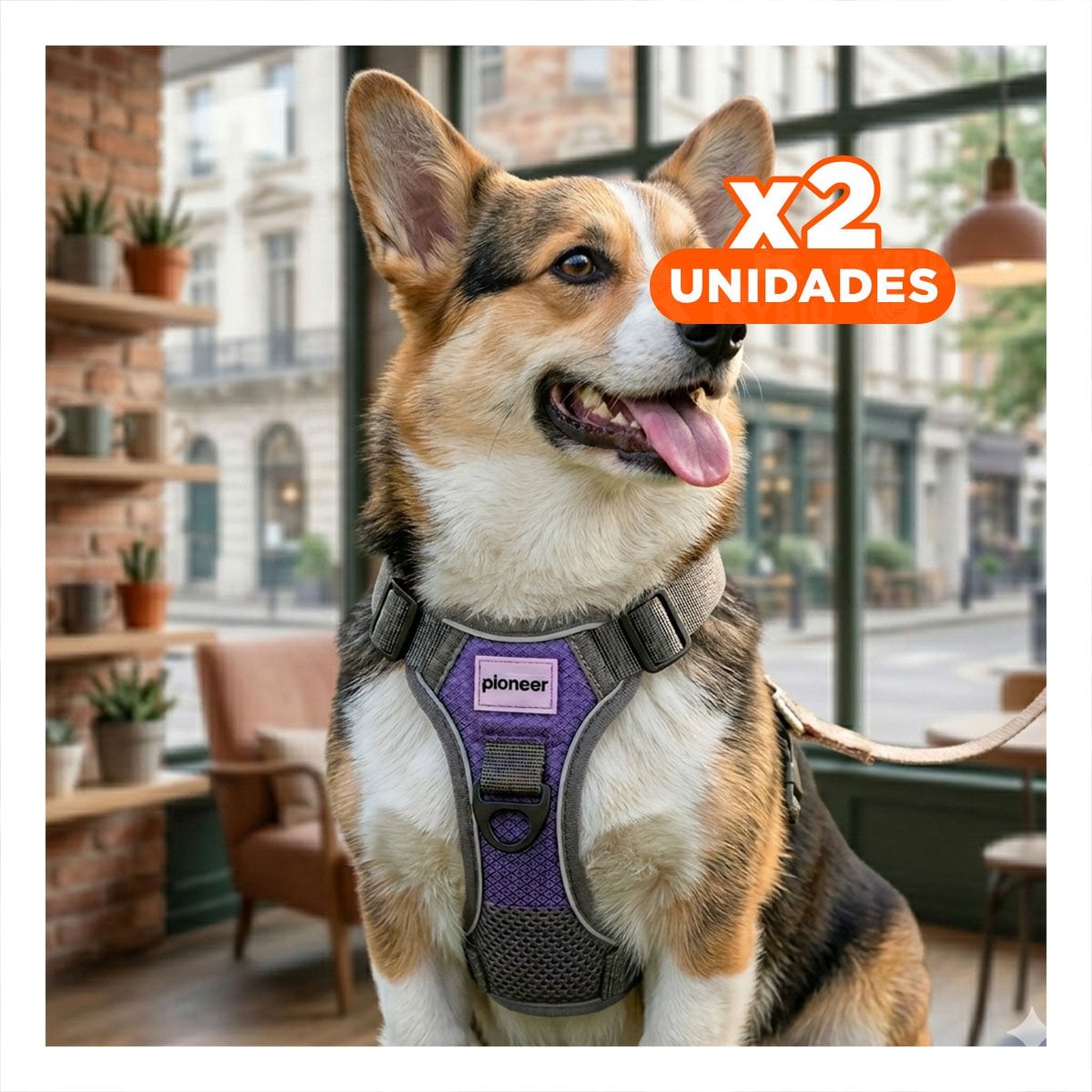 PACK2 CORREA INTEGRAL PARA PERRO MORADO TALLA S RESISTENTE Y+REGALO STICKER - 1