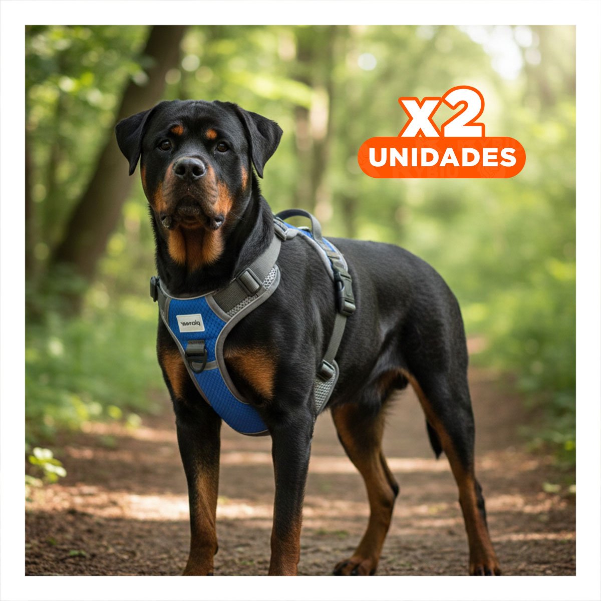 PACK2 EQUIPO PARA PERRO AZUL TALLA XL AJUSTABLE Y FACIL DE USAR Y+REGALO STICKER - 1