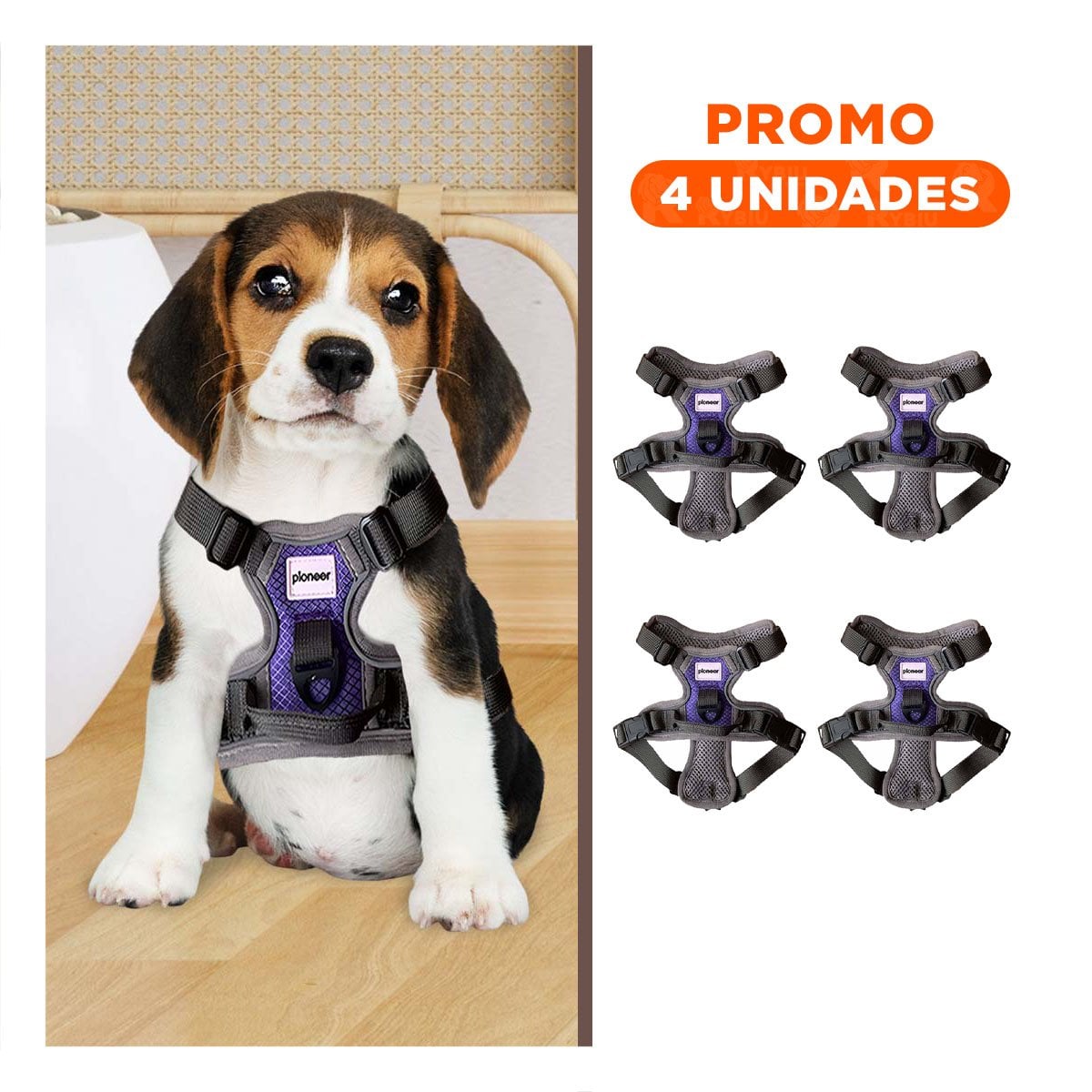 PACK4 SISTEMA DE SUJECION PARA PERRO MORADO TALLA S AJUSTABLE Y+REGALO STICKER - 1
