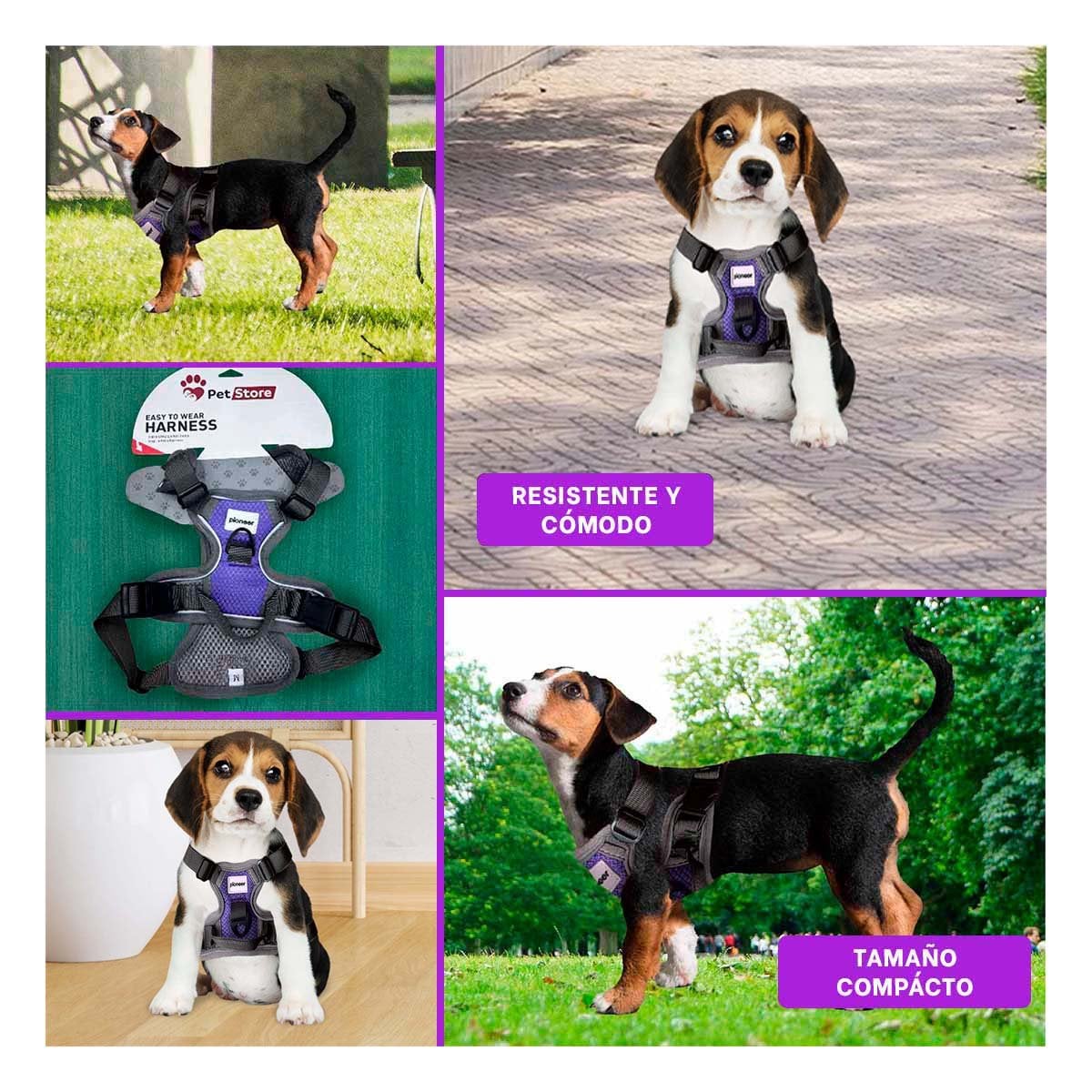 PACK4 SISTEMA DE SUJECION PARA PERRO MORADO TALLA S AJUSTABLE Y+REGALO STICKER - 2