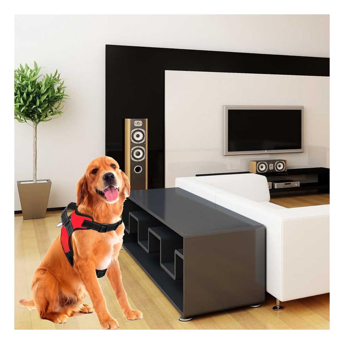 CHALECO PARA MASCOTA CON DISEÑO ERGONOMICO Y AJUSTE SEGURO PARA SALIDAS Y+LIGAS REGALO - 2