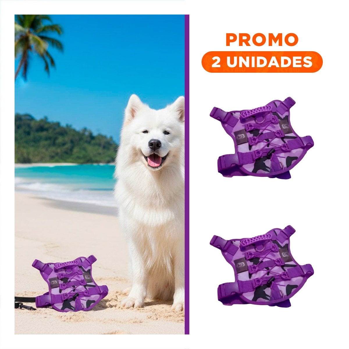 PACK2 CORREA PARA PERRO GRANDE MORADO TALLA L COMODO Y SEGURO - 1