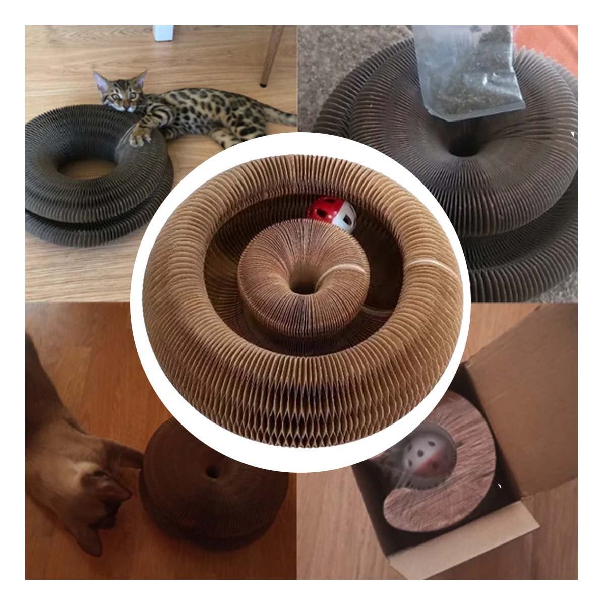 PACK2 COMPLEMENTO PARA GATO ACORDEON CON PELOTA Y CATNIP MARRON 1 PISO CASA Y+PAPEL REGALO - 3