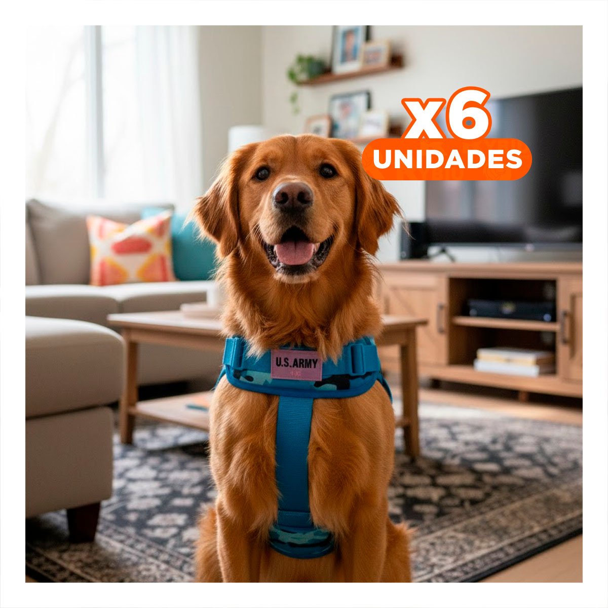 PACK6 CHALECO AJUSTABLE PARA PERRO AZUL CON SUJECION ERGONOMICA Y LIGERO Y+REGALO STICKER - 1
