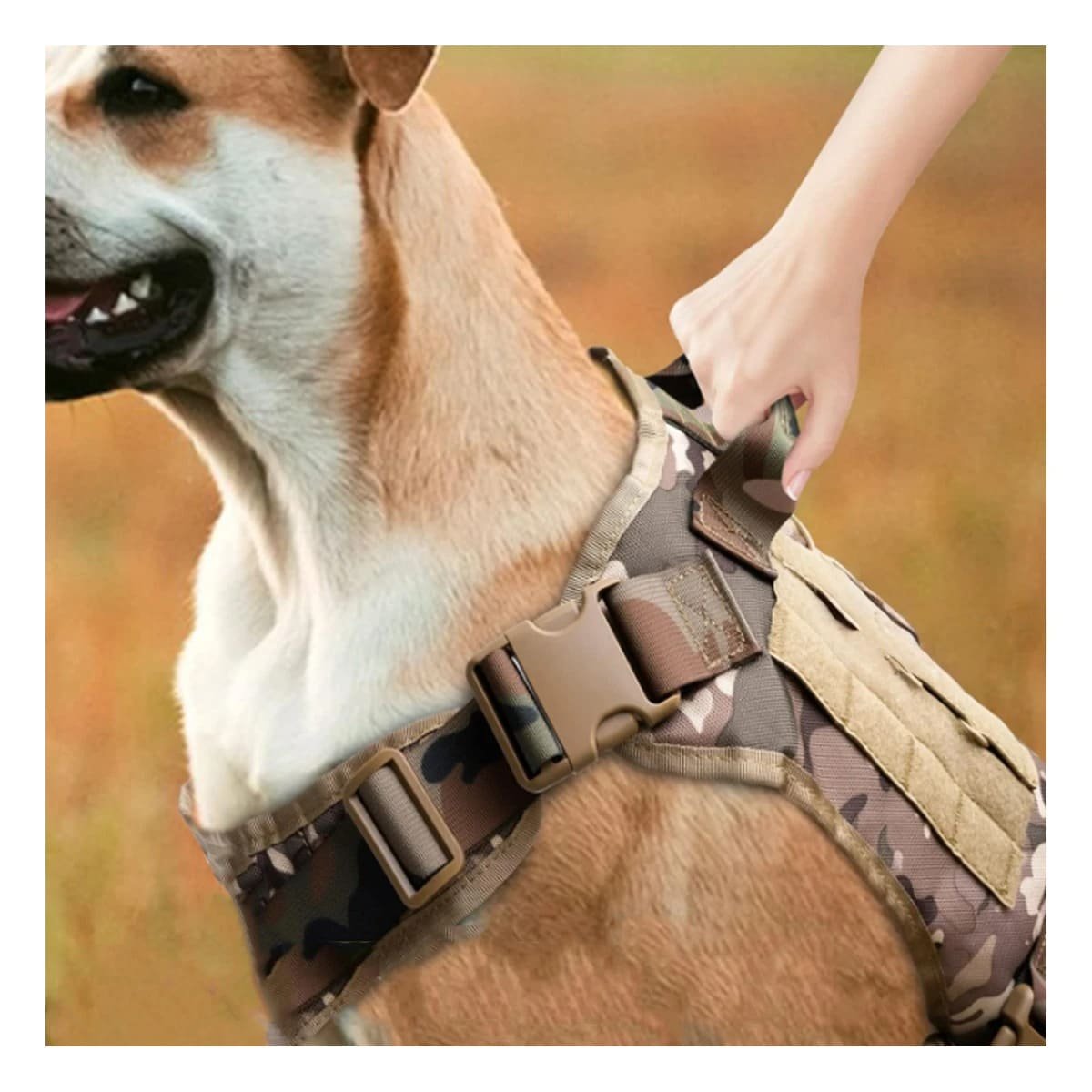 ARNES PROTECTOR PARA PERRO VERDE CLARO TALLA XL COMODO Y SEGURO PARA PASEO Y+POST IT - 3