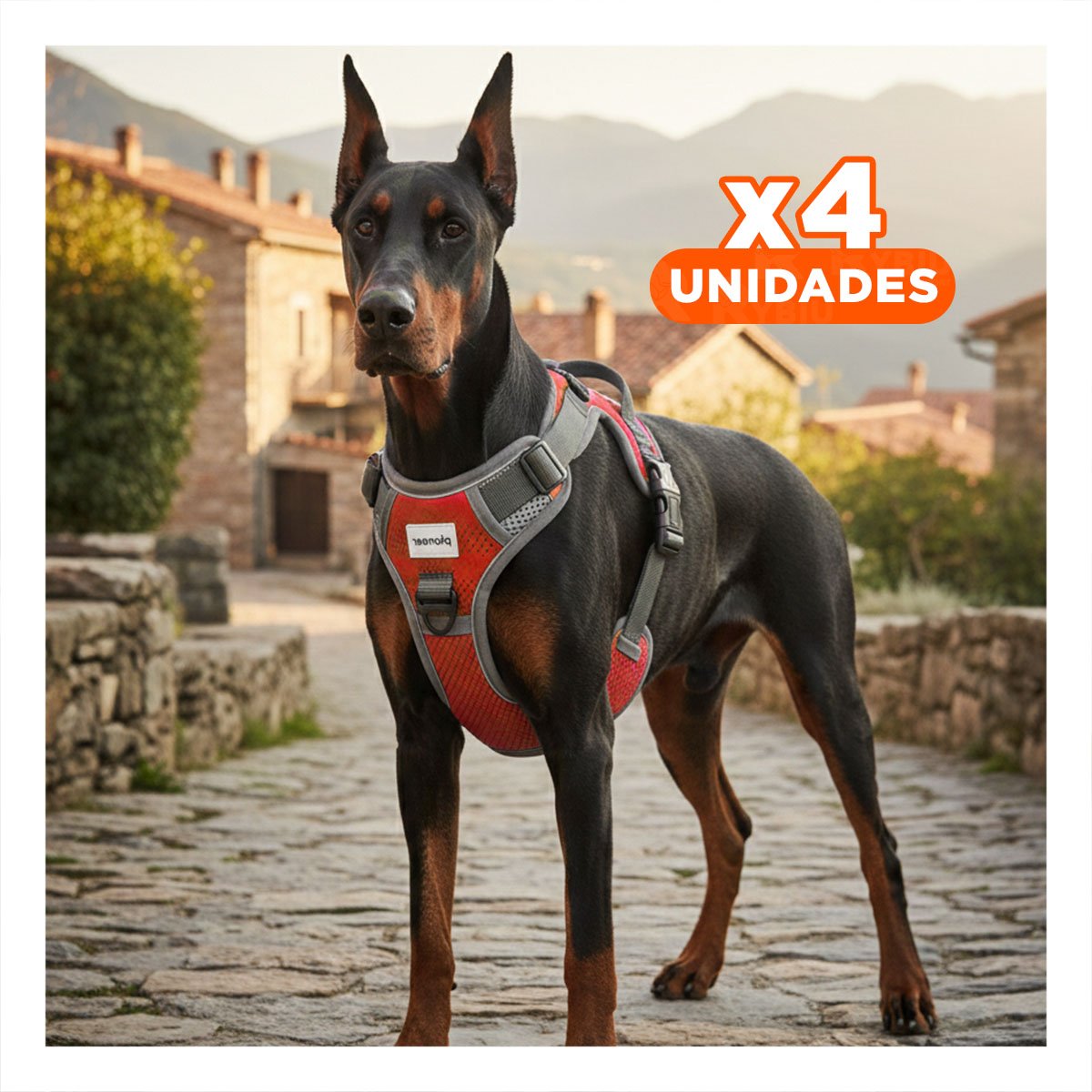 PACK4 ARNES REFLECTANTE PARA PERRO CON MATERIAL SUAVE Y AJUSTE RAPIDO PARA PASEOS - 1