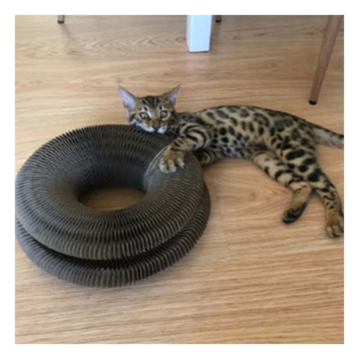 PACK2 ELEMENTO PARA GATO ACORDEON CON PELOTA Y CATNIP MARRON 1 PISO HOGAR - 3