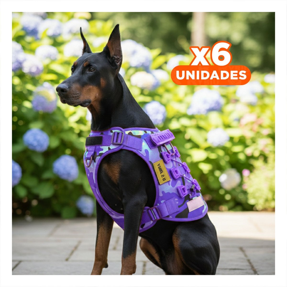 PACK6 REFUERZO CHALECOS TACTICO PARA PERRO MORADO TALLA XL PARA PASEOS LARGOS Y+REGALO STICKER - 1