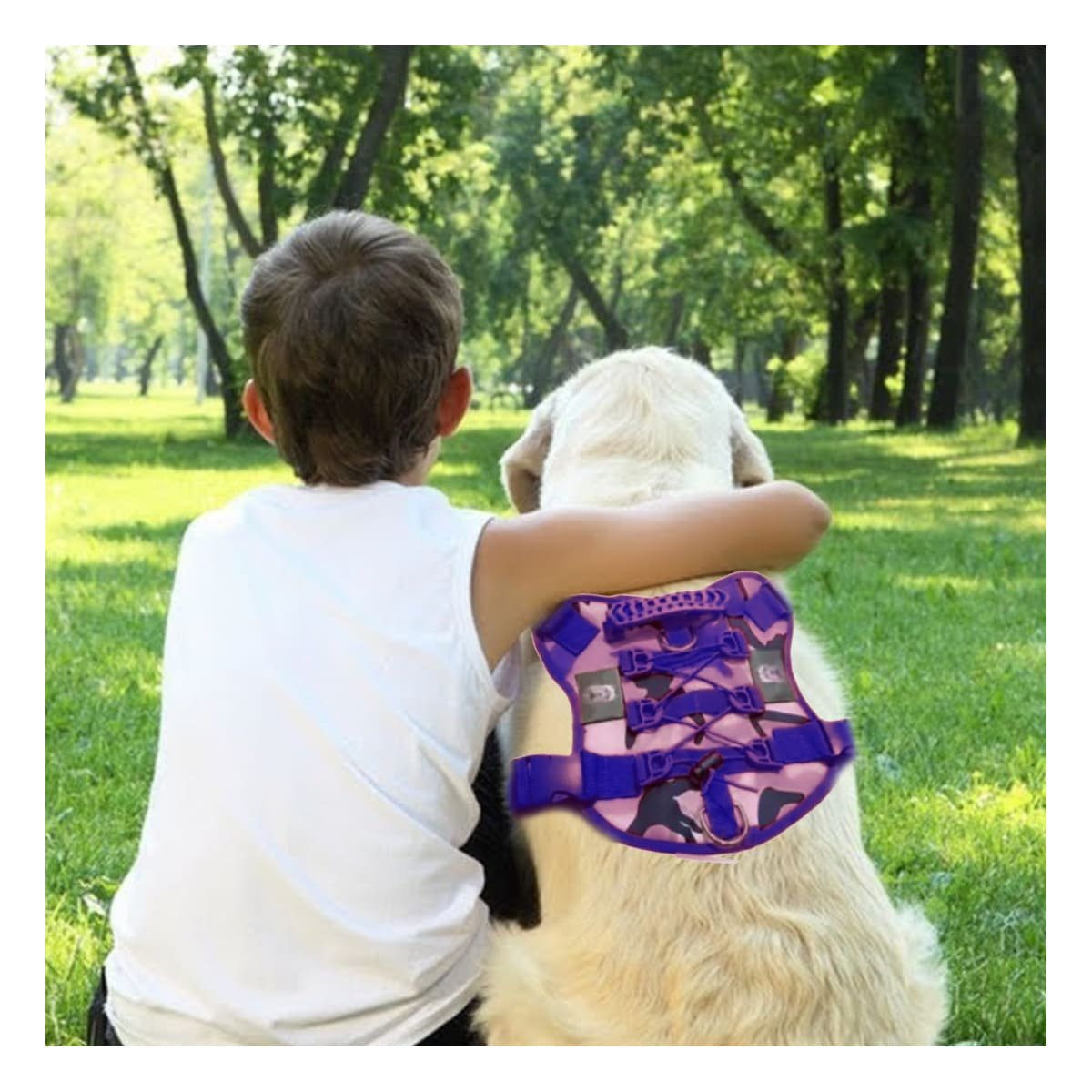 PACK6 REFUERZO CHALECOS TACTICO PARA PERRO MORADO TALLA XL PARA PASEOS LARGOS Y+REGALO STICKER - 3
