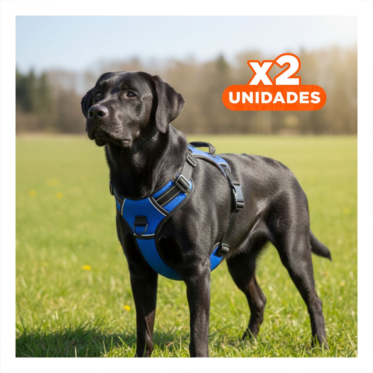 PACK2 PECHERA DE PASEO PARA PERRO AZUL TALLA L RESISTENTE Y FACIL Y+REGALO STICKER - 1