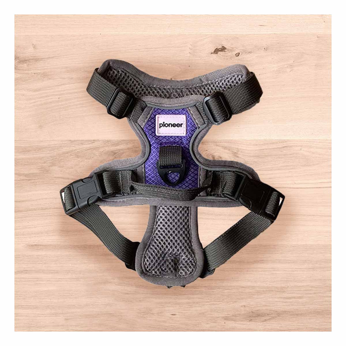 PACK4 CORREA TIPO PECHERA PARA PERRO MORADO TALLA S - 2