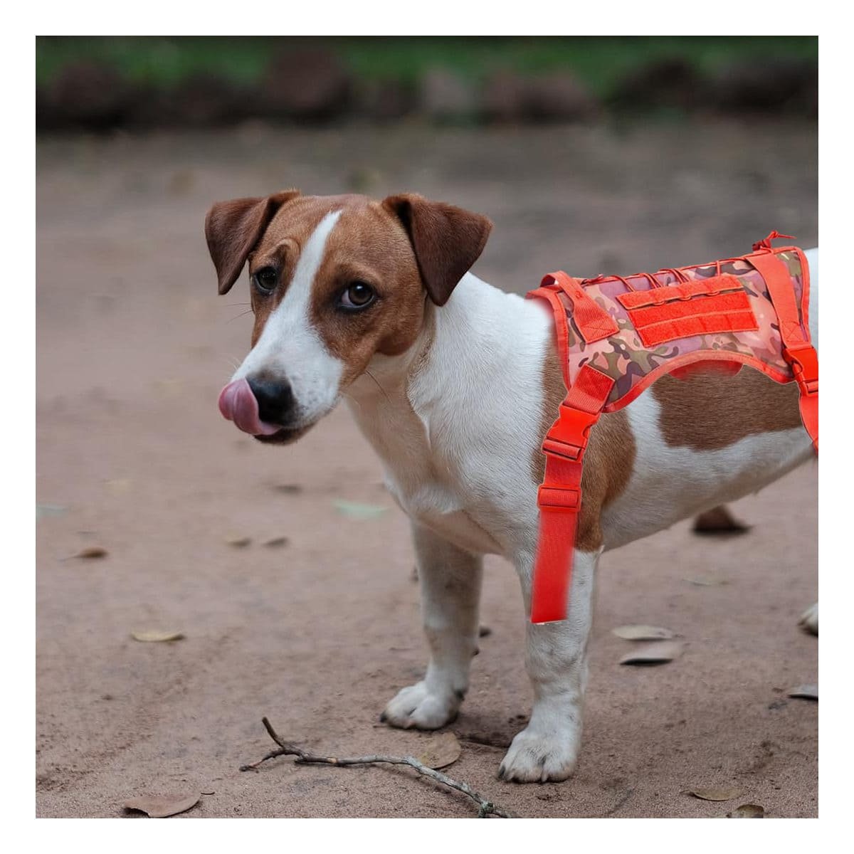 PACK6 SOPORTE CHALECO TACTICO PARA PERRO ROJO MATERIAL RESISTENTE Y CONFORTABLE - 3