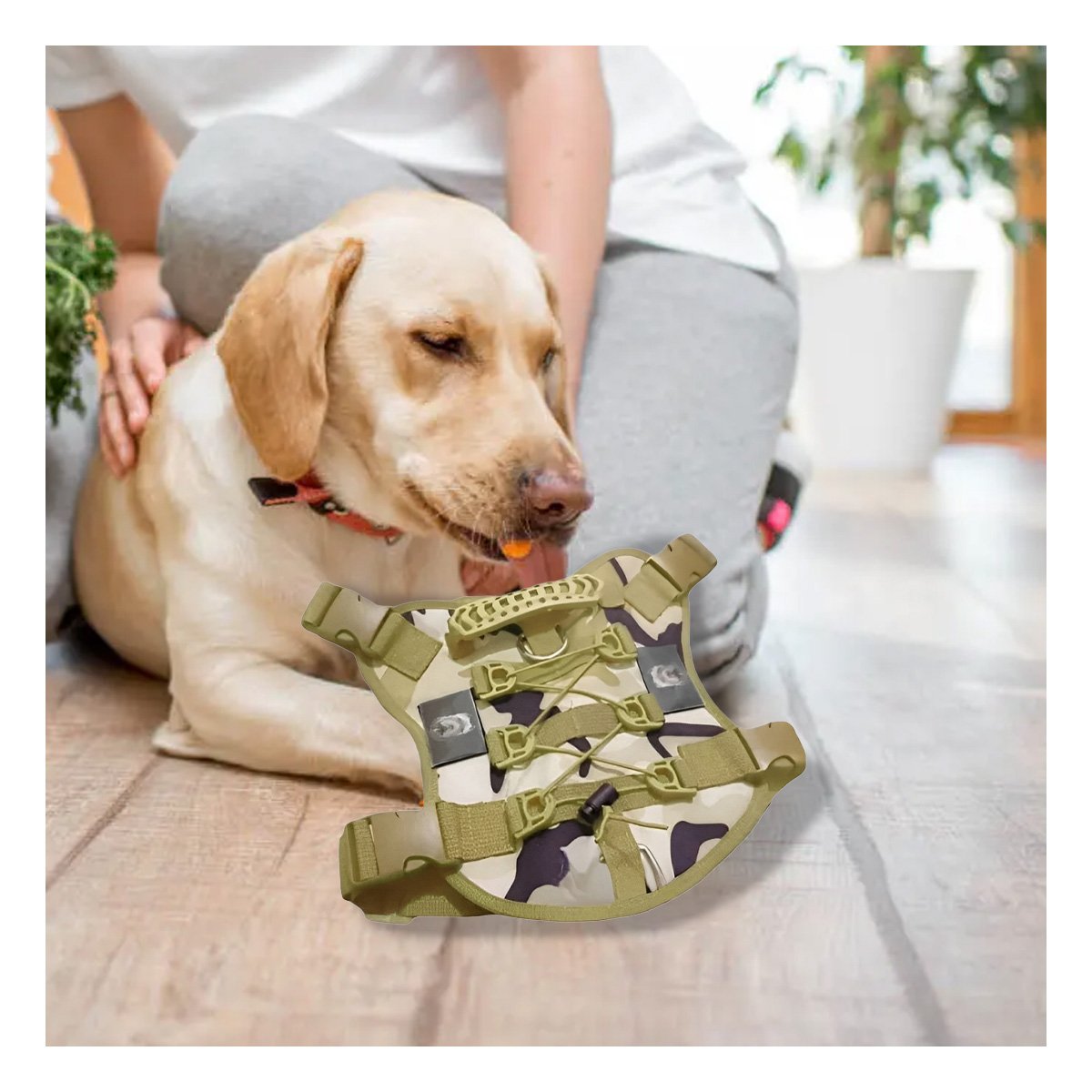 CORREA RESISTENTE PARA PERRO VERDE CLARO TALLA L CHALECO LIGERO Y+PAPEL REGALO - 2