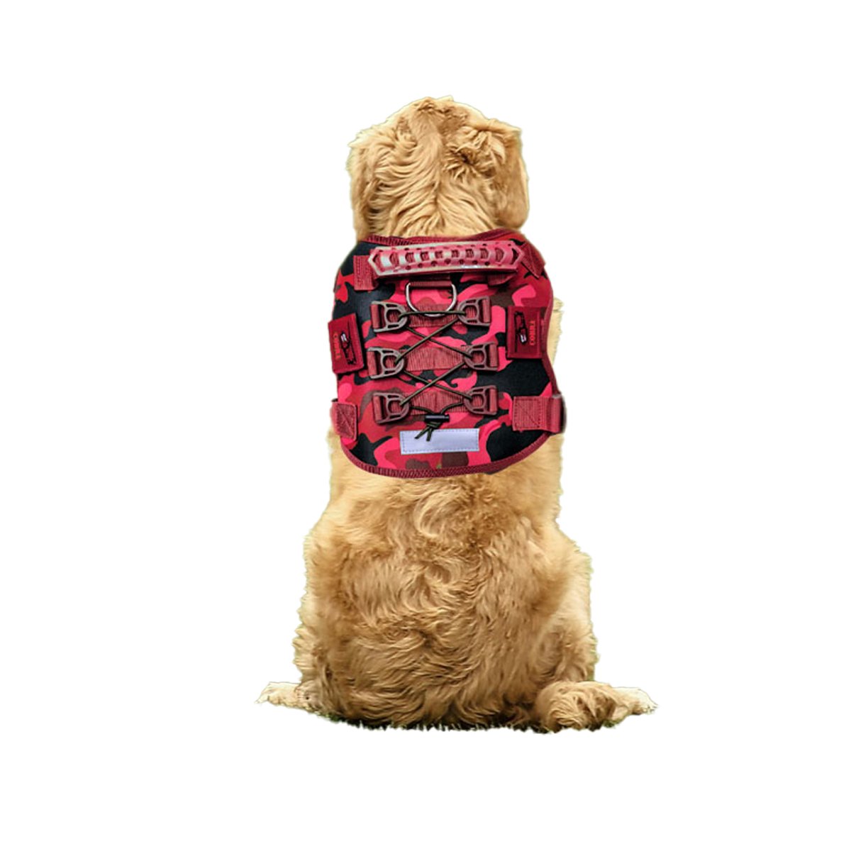 SOPORTE CHALECO TACTICO PARA PERRO ROJO LIGERO Y COMODO PARA AVENTURAS Y+LIGAS REGALO - 3