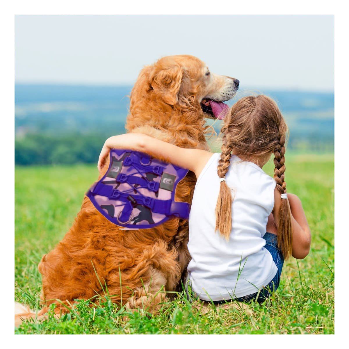 PACK4 ESTABLE PECHERA TACTICO PARA PERRO MORADO AJUSTABLE PARA PASEOS Y ENTRENAMIENTO - 3