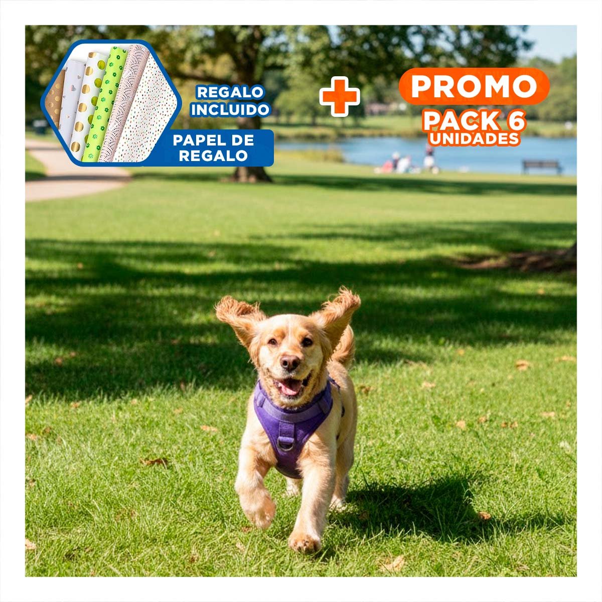 PACK6 SEGURA PECHERA TACTICO PARA PERRO MORADO CON DISENO MODERNO Y RESISTENTE Y+PAPEL REGALO - 1
