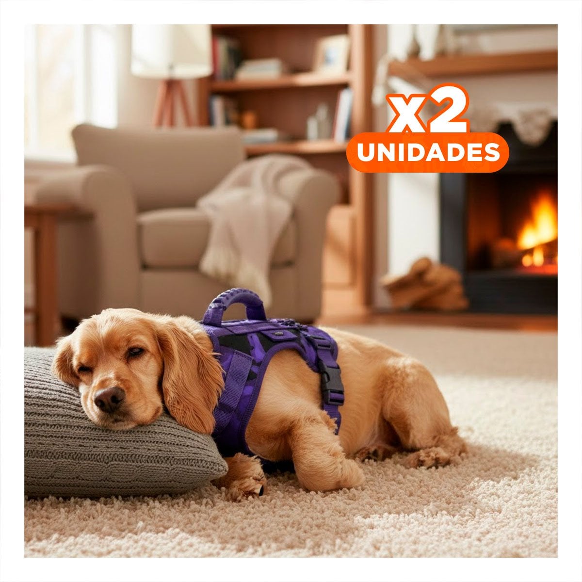 PACK2 PROTECTOR PECHERA TACTICO PARA PERRO MORADO COMODO Y FACIL DE LIMPIAR Y+REGALO STICKER - 1