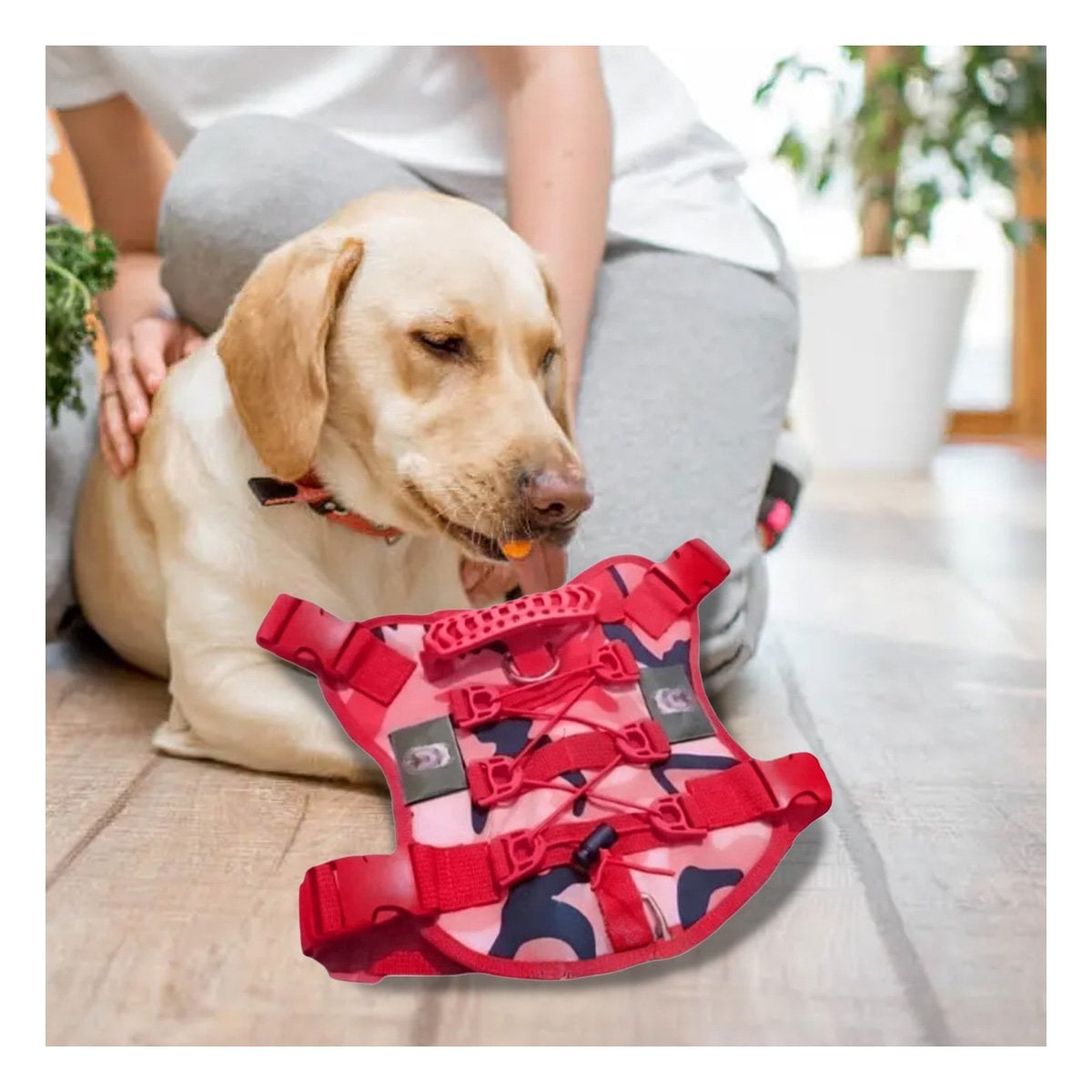ACCESORIO CHALECO TACTICO PARA PERRO ROJO FACIL DE COLOCAR Y RETIRAR - 1