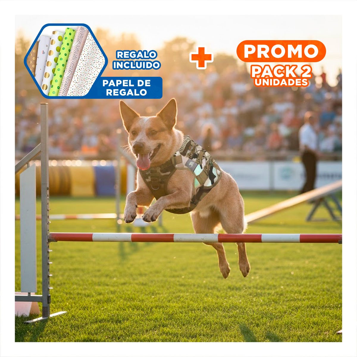 PACK2 PECHERA CON AJUSTE PARA PERRO VERDE CLARO TALLA L CHALECO COMODO Y+PAPEL REGALO - 1