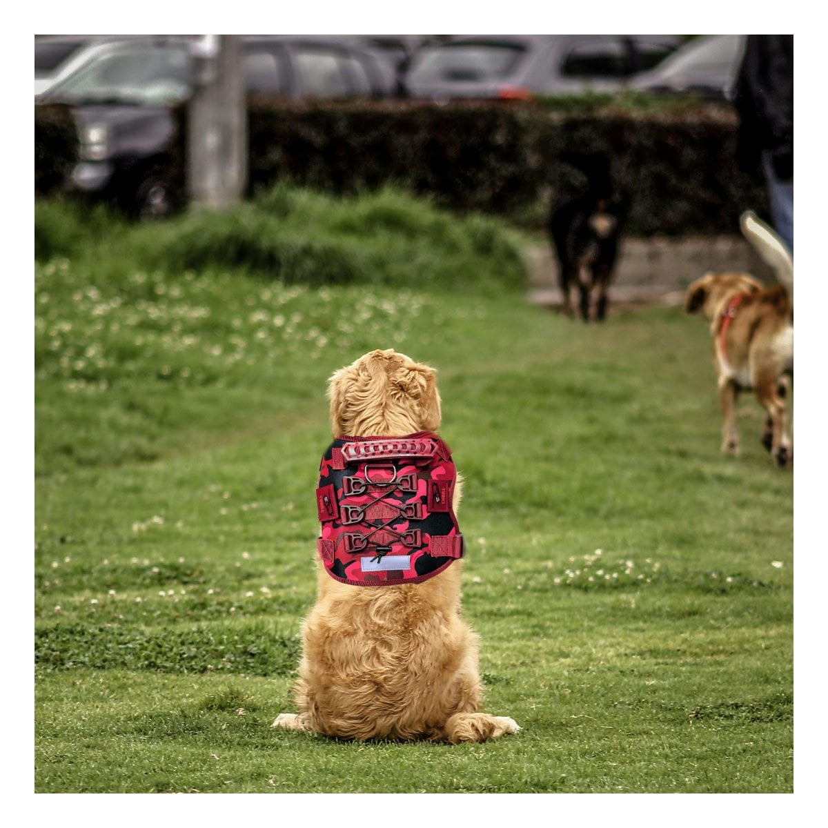 PACK2 PROTECCION CHALECO TACTICO PARA PERRO ROJO FACIL DE AJUSTAR Y COMODO - 5