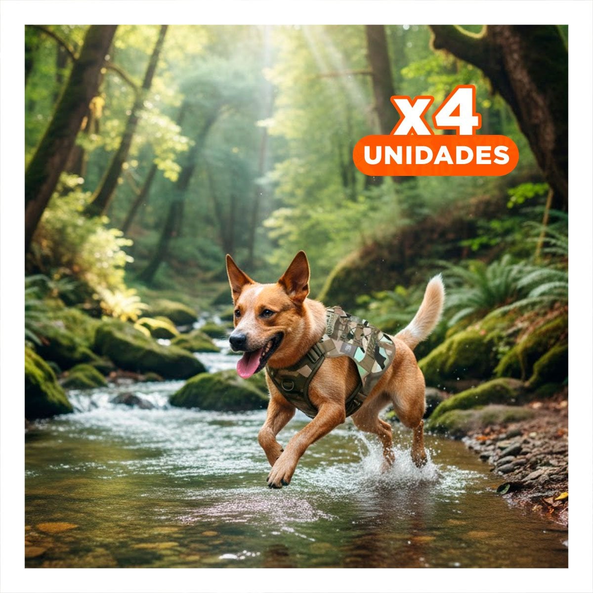 PACK4 CHALECO CON AJUSTE PARA PERRO VERDE CLARO TALLA L FACIL DE COLOCAR - 1
