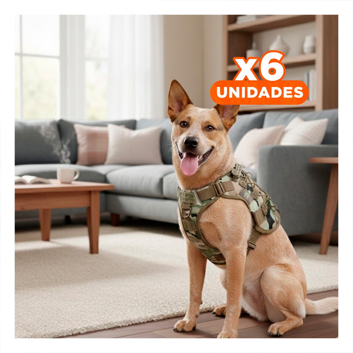 PACK6 CHALECO PARA PASEO DE PERRO VERDE CLARO TALLA L AJUSTABLE Y COMODO Y+REGALO STICKER - 1
